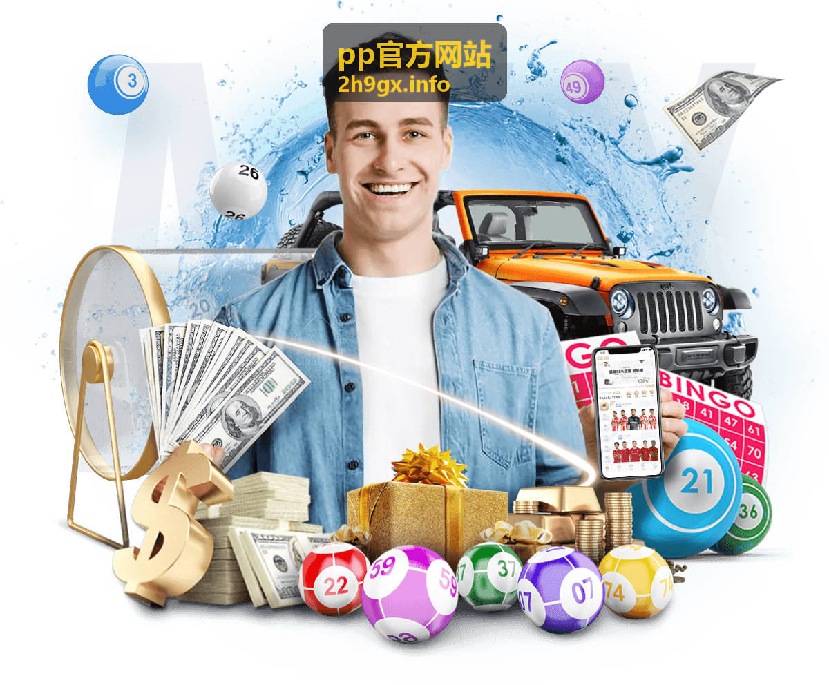 pp官方网站网页端入口访问示意图